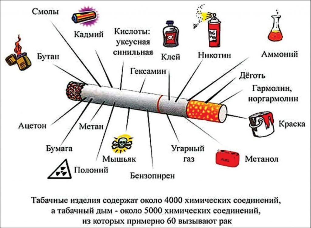 Какие вредные вещества хранит сигарета - инфографика