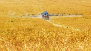 Фермеры Актюбинской области заявили о возможном срыве весенне-полевых работ из-за банков