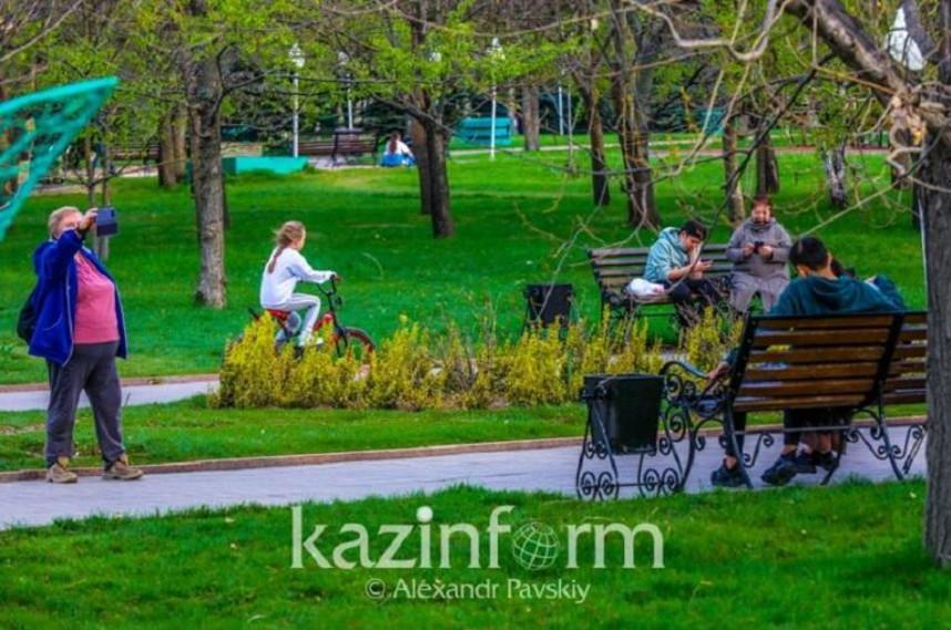 Городские зеленые районы помогают защитить здоровье сердца: исследование