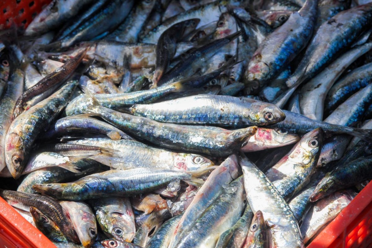 Какую зарплату получают обычные сотрудники государственных рыбоводных предприятий