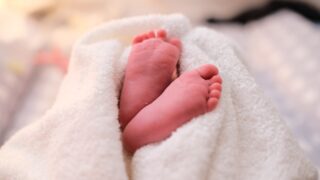 Дело в рождаемости. Почему человечеству грозит вымирание?