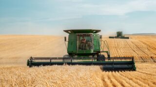 Субсидии, недофинансирование, маслихаты: Сенатор рассказал о проблемах в сельском хозяйстве в РК