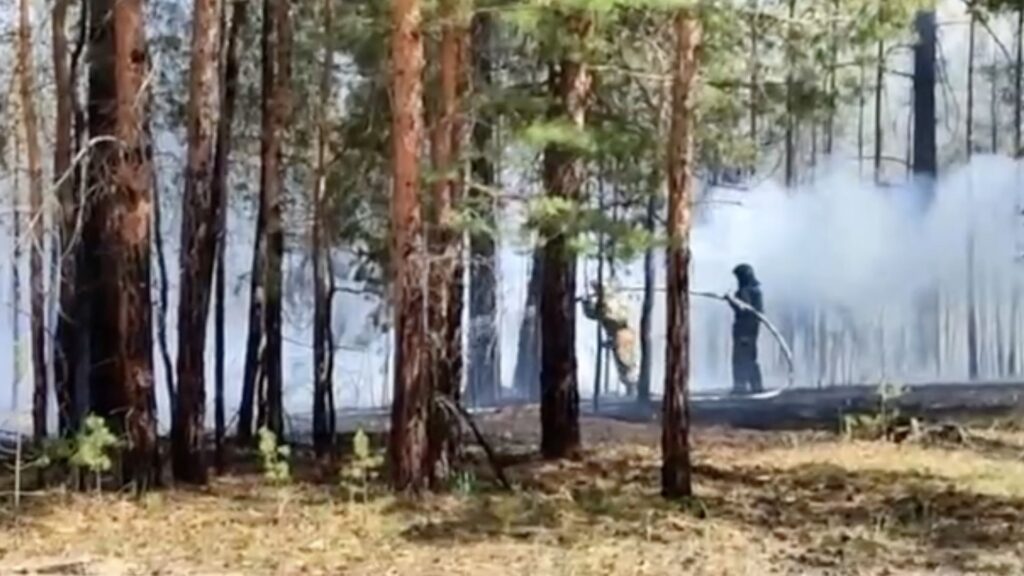 В области Абай площадь лесного пожара достигла 3500 гектаров