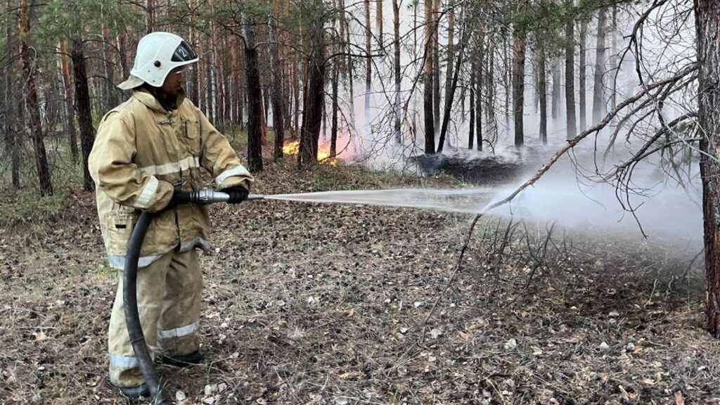 Акимат области Абай опроверг информацию о гибели всех пропавших при пожаре лесников