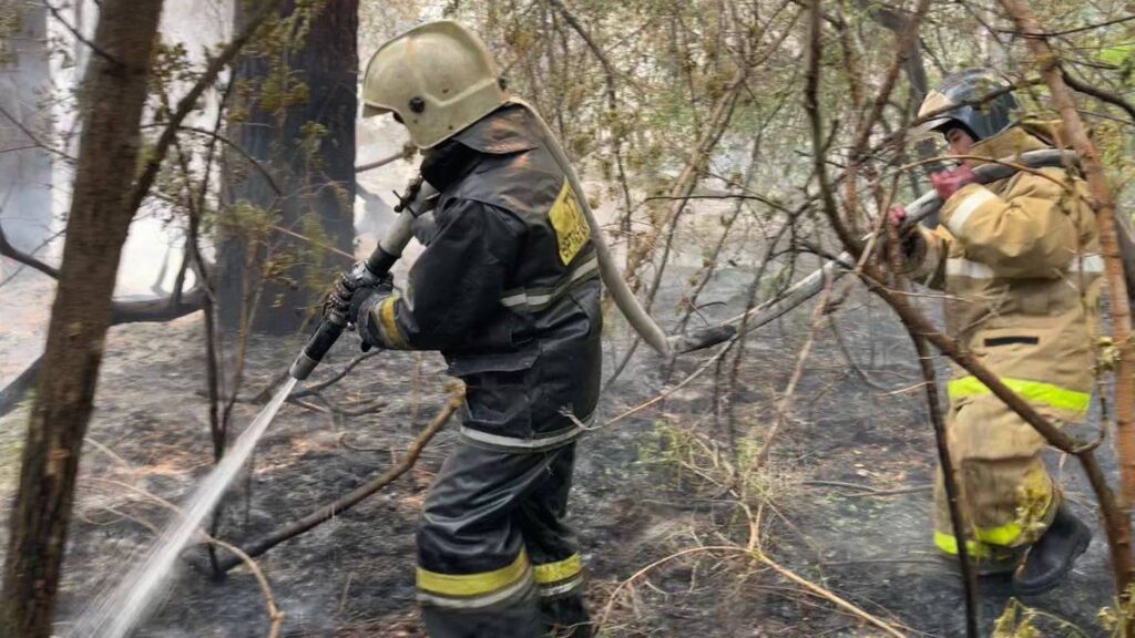 К населенному пункту Таврия движется огонь в лесу в области Абай