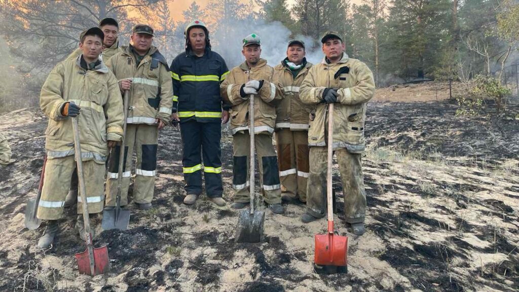 Лесной пожар в области Абай локализован - МЧС РК