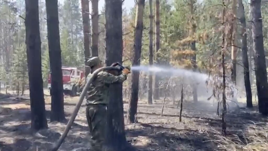 МЧС рассказало об обстановке в связи с пожаром в Абайской области