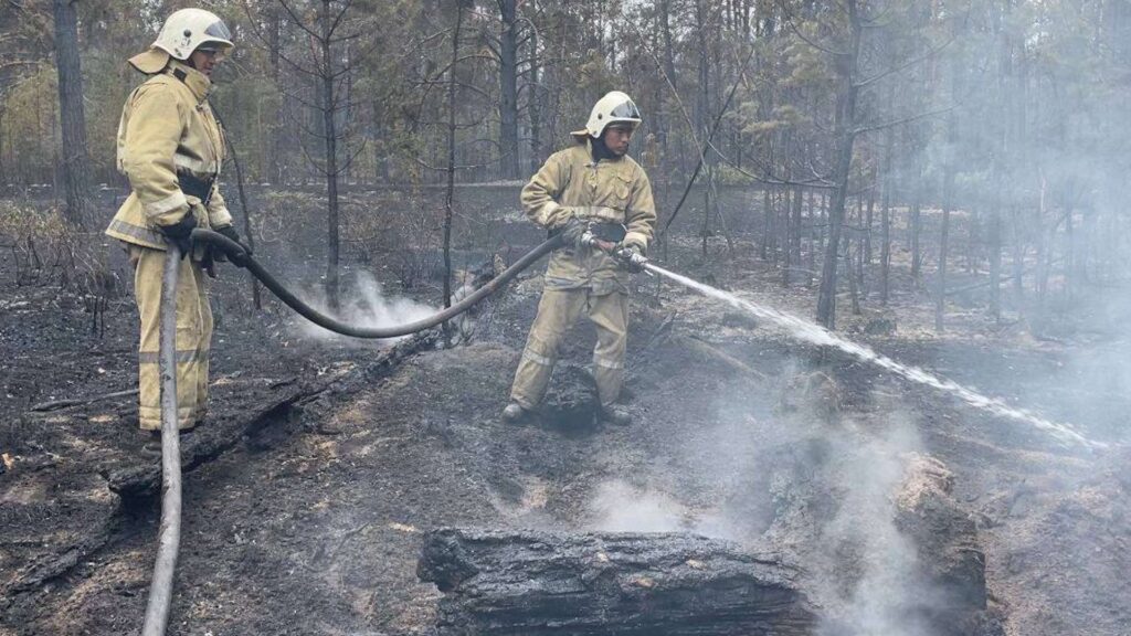 Определено точное место возгорания леса в области Абай