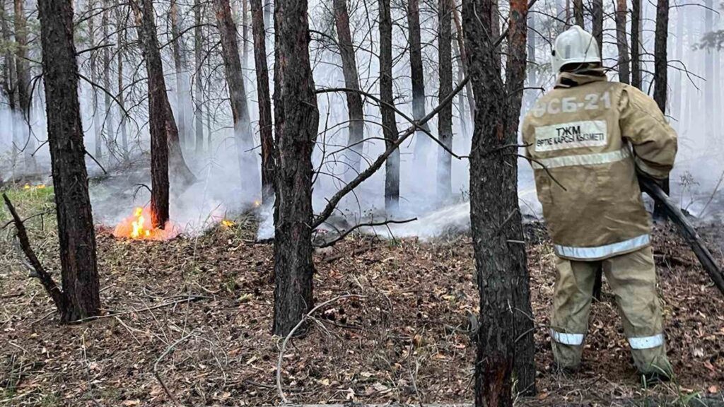 Пожар в области Абай не представляет угрозы населенным пунктам, заявило МЧС