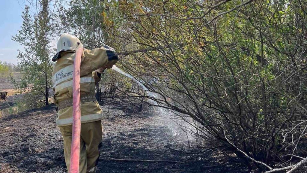 Пожар в Уральске: сухая трава и кустарники загорелись на пяти гектарах