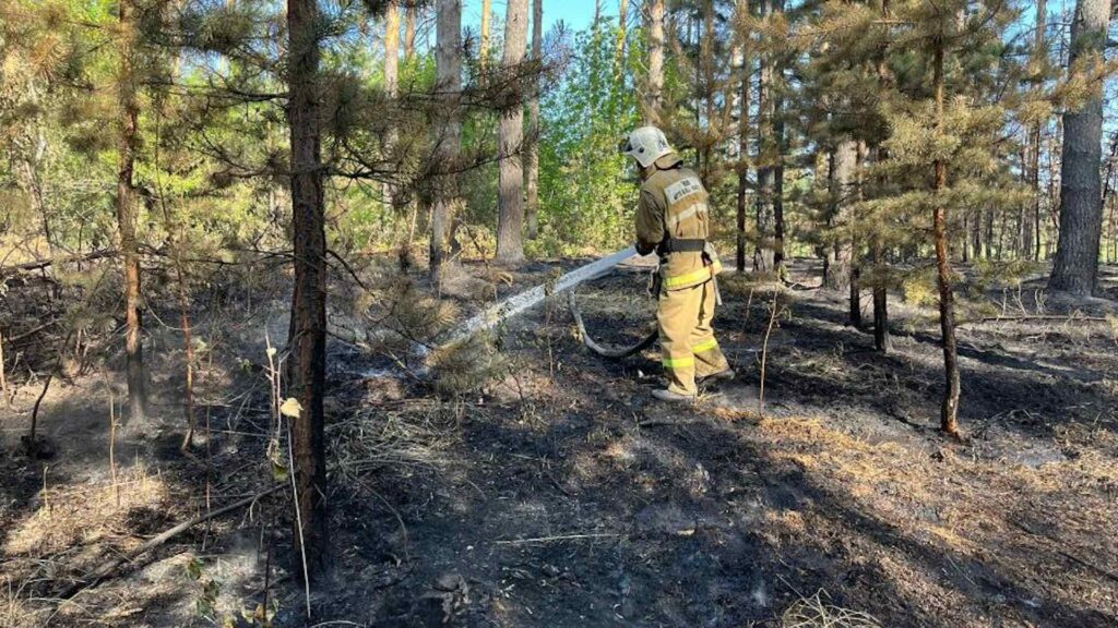 Продолжается тушение пожара в четырех участках области Абай