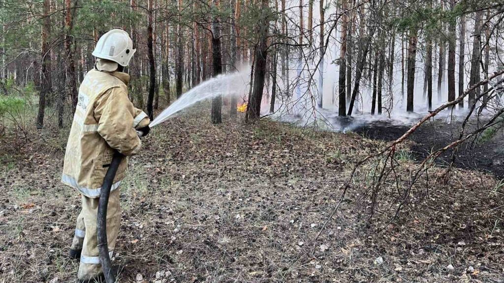 Список погибших во время пожара в области Абай 