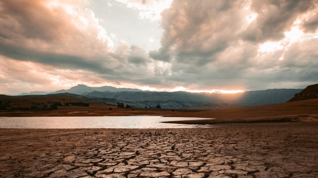 В ряде регионов Казахстана ожидается засуха в июне 2023 года
