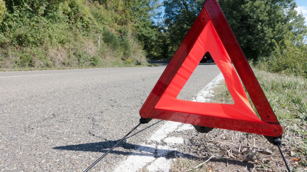 Двое пострадавших в столкновении авто и верблюда госпитализированы в Актау - Bizmedia.kz