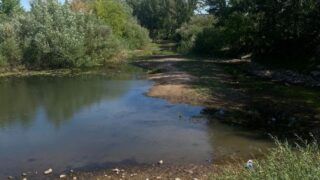 Экоактивисты заявили об экологической катастрофе в пригороде Астаны