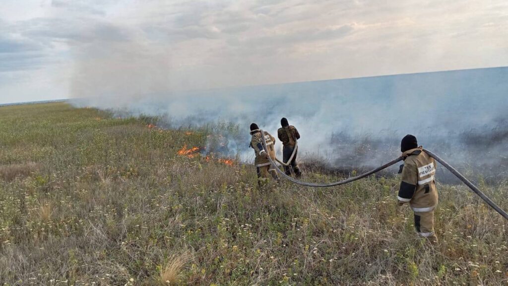 Горение сухой травы в Жамбылской области было ликвидировано