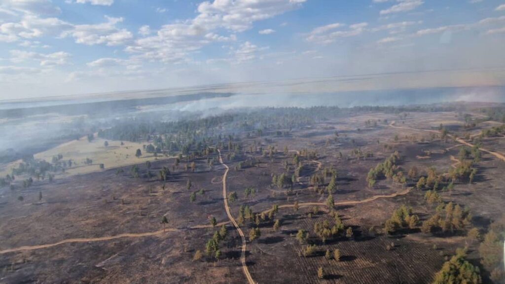 Природный пожар в области Абай оперативно локализован