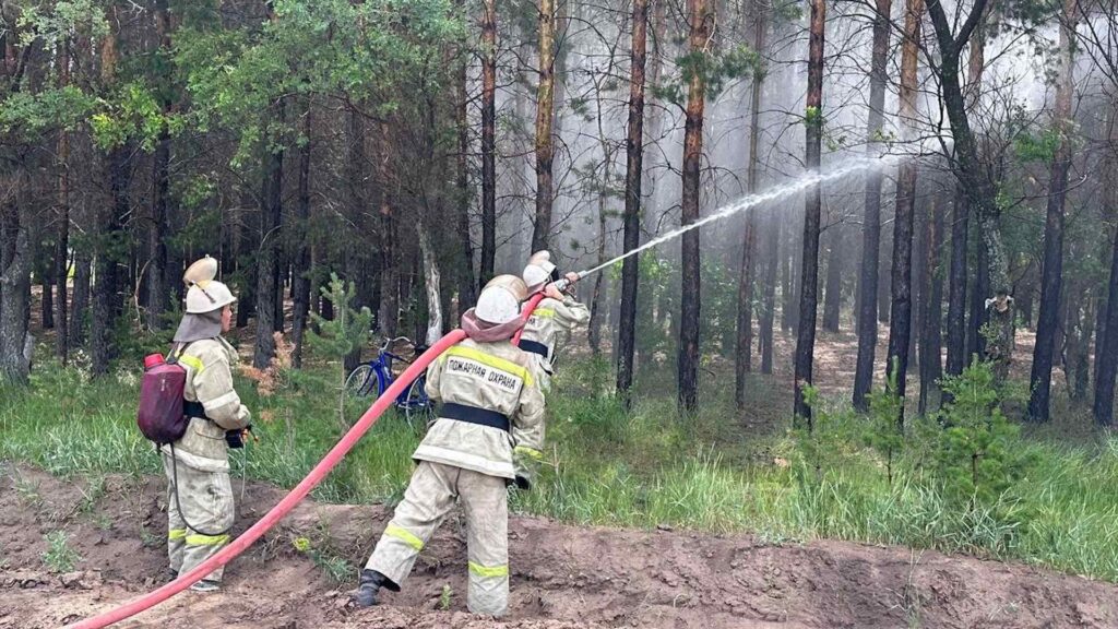 В Баянаульском государственном национальном природном парке произошло возгорание сухой травы