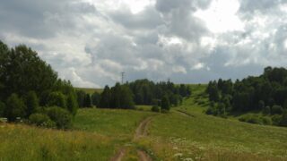 Прокуратура Акмолинской области вернула в госсобственность земельный участок