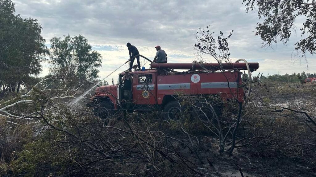 Лесной пожар ликвидирован в Наурзумском заповеднике Костанайской области