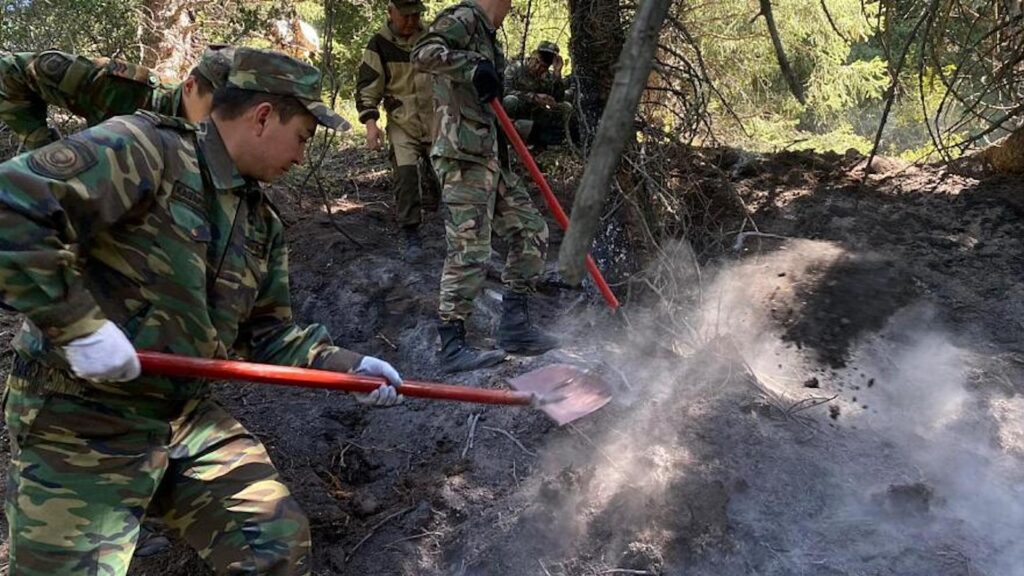 Ликвидация тлеющего торфа в горной труднодоступной местности Алматинского заповедника