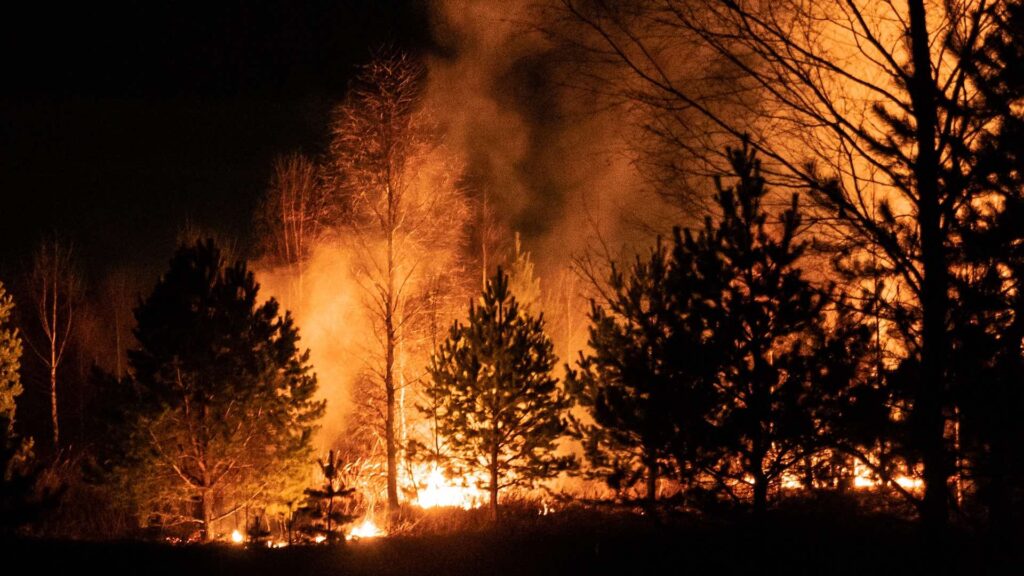 Пожар в лесу ночью