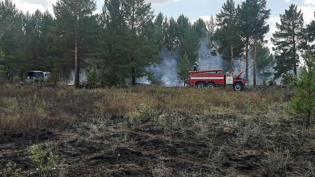 Причиной двух крупных лесных пожаров «Ертіс орманы» стали грозовые разряды