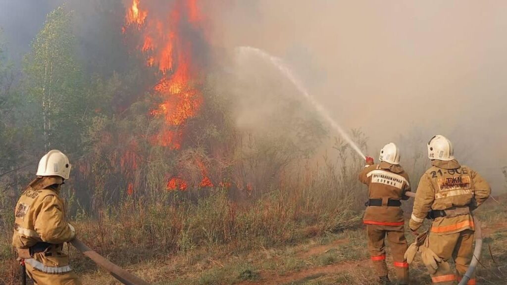 МЧС тушит пожар в резервате