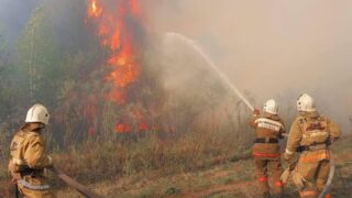 Крупный лесной пожар случился в Жамбылской области