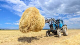 13,8 млн тонн кормов уже заготовлено  в Казахстане