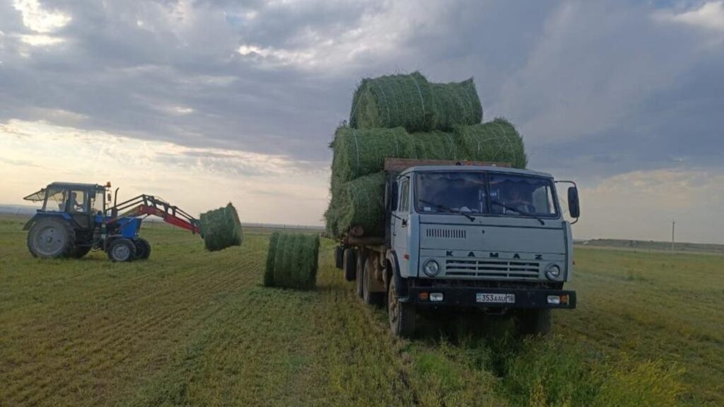 760 гектаров посевных площадей уже убрано в Аксуатском районе - Bizmedia.kz