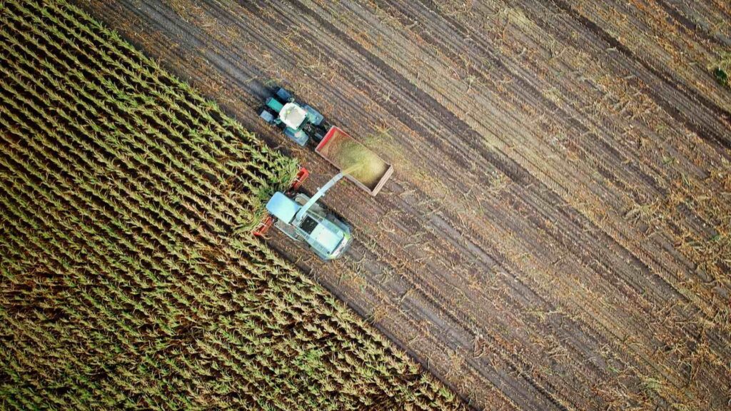 Актуальные вопросы проведения уборочной кампании рассмотрены на заседании Правительства 