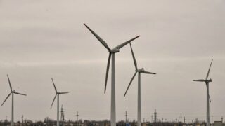 Казахстан и Франция собираются построить ветровую электростанцию в Жамбылской области