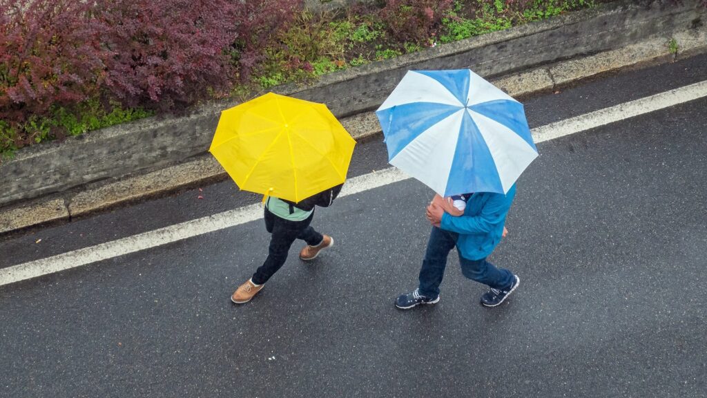Два человека идут с зонтами по асфальту