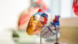 ИИ может распознать пороки сердца у новорожденных