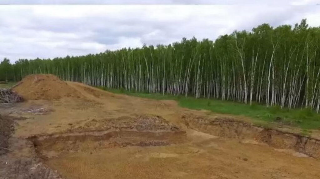 Жители Петропавловска недовольны вырубкой в Мещанском лесу