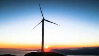 Франция планирует построить ветрогенераторную электростанцию на юге Казахстана