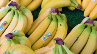 В Казахстане созрел первый промышленный урожай бананов