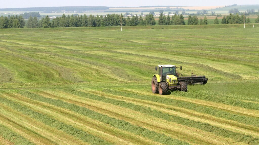 Прокуратура Павлодарской области выявила нарушения в сфере земельных отношений - Bizmedia.kz