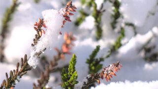 В Казахстане ожидаются снег и морозы до -8°C