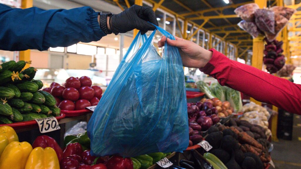 Ввоз 224 тонн сельхозпродукции из Казахстана в Алтай России запретили в ноябре - Bizmedia.kz