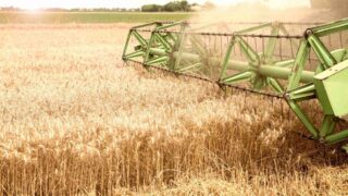 Хватит ли Казахстану зерна в предстоящую посевную кампанию в связи с паводками