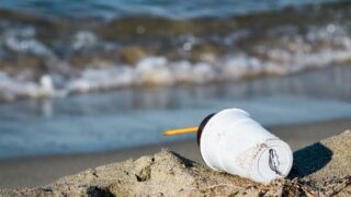 Экологическая проблема. Количество собранных пластиковых отходов падает в Казахстане