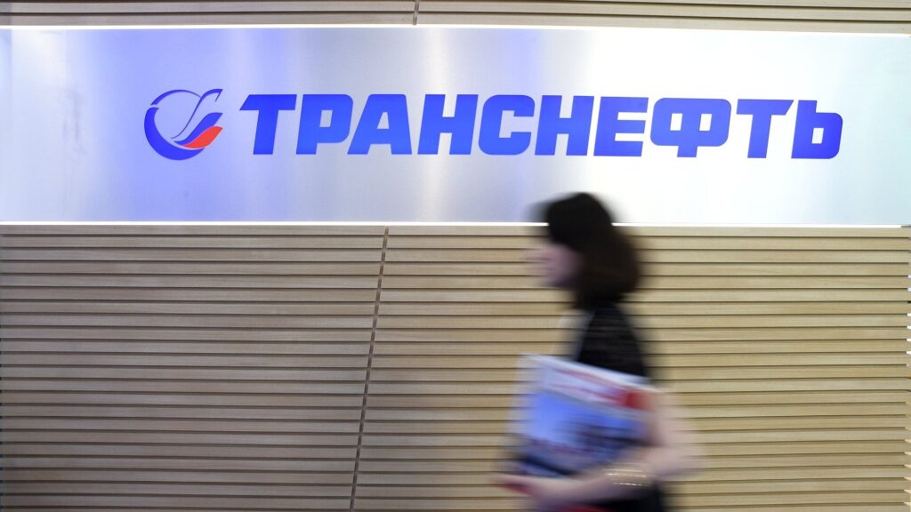 «Транснефть» возобновляет отгрузки из порта в Усть-Луге_bizmedia.kz