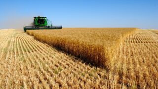 Турция планирует инвестировать в семеноводство и тепличное хозяйство Казахстана