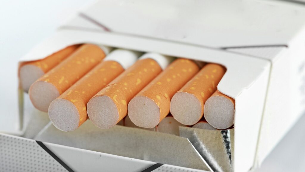 Контрабандисты попытались провезти 5,5 млн пачек сигарет под видом стройматериалов в области Абай_bizmedia.kz