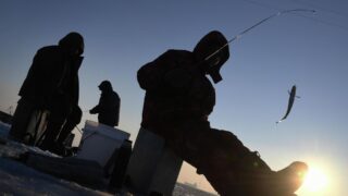 Обнаружено тело пропавшего рыбака в Павлодарской области