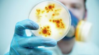 Почему некоторые бактерии становятся опасными?