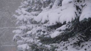 Село в Туркестанской области занесло снегом