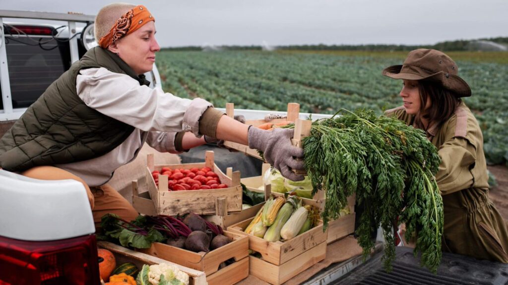 Снижение мировых цен на продовольствие: сахар единственный, продукт который дорожает